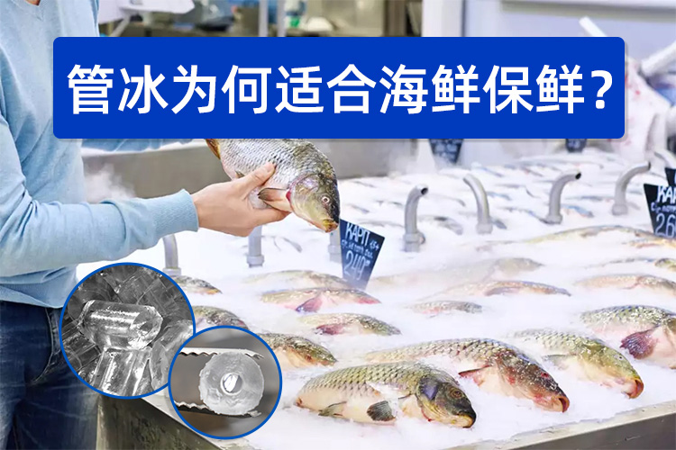 管冰為何如此適合海鮮保鮮？