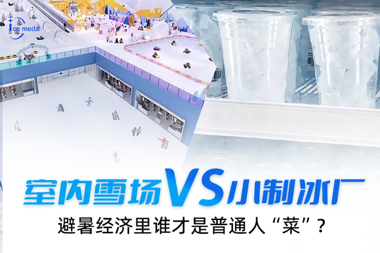 室內(nèi)雪場(chǎng)VS小制冰廠(chǎng)，避暑經(jīng)濟(jì)里誰(shuí)才是普通人“菜”？